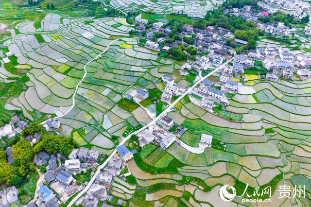 FлϪ^(q)W(wng)ӛ Ϳz